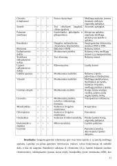 Biologijos konspektas 11-12 klasei 11 puslapis