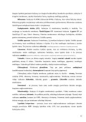 Biologijos konspektas 11-12 klasei 12 puslapis