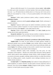 Biologijos konspektas 11-12 klasei 15 puslapis