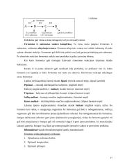 Biologijos konspektas 11-12 klasei 17 puslapis
