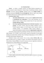 Biologijos konspektas 11-12 klasei 19 puslapis