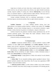 Biologijos konspektas 11-12 klasei 20 puslapis