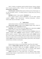 Biologijos konspektas 11-12 klasei 7 puslapis
