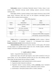 Biologijos konspektas 11-12 klasei 9 puslapis