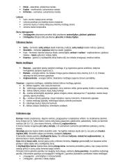 Viso kurso biologijos konspektas 11-12 klasei 14 puslapis