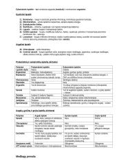 Viso kurso biologijos konspektas 11-12 klasei 4 puslapis