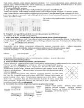 Fizika egzamino konspektas 9 puslapis
