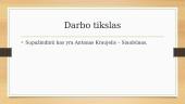 Projektinis darbas „Jie paaukojo savo gyvybę už mūsų laisvę“ 2 puslapis