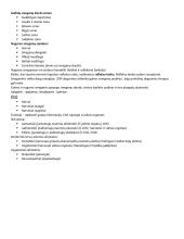 Skyriaus „Nervų sistema“ konspektas 2 puslapis