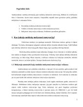 Mokymosi Motyvacija (įtaka, svarba, trūkumas) 3 puslapis