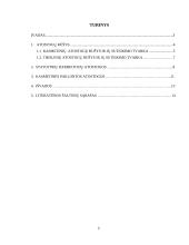 Kasmetinių ir tikslinių atostogų rūšys, suteikimo tvarka, apmokėjimas 2 puslapis