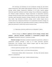 Kasmetinių ir tikslinių atostogų rūšys, suteikimo tvarka, apmokėjimas 7 puslapis