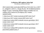 Ekonomikos ir verslo olimpiados Testai ir uždaviniai 11 puslapis