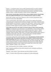 Dzukijos tautinė juosta 2 puslapis