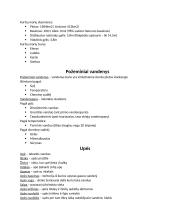 Skyriaus „Baltijos jūra/Kuršių marios“ konspektas 2 puslapis