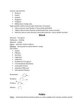 Skyriaus „Baltijos jūra/Kuršių marios“ konspektas 3 puslapis