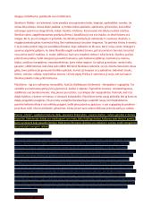 K. Donelaičio „Metai“ analizė 2 puslapis