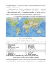 Miestų patrauklumo gyventojams veiksniai - tik ekonominiai? 5 puslapis