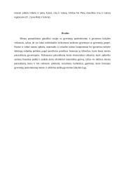 Miestų patrauklumo gyventojams veiksniai - tik ekonominiai? 6 puslapis