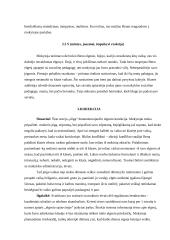 Agresyvaus elgesio vaiko atvejo analizė 2 puslapis