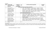 Informatikos ilgalaikis teminis planas 11 klasei 2 puslapis