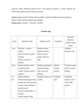 Lietuvių kalbos pamokos projektas 2 puslapis