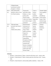 Lietuvių kalbos pamokos projektas 3 puslapis