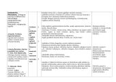 12 klasės lietuvių kalbos ir literatūros ilgalaikis planas 4 puslapis