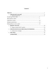 UAB „INEZA“ įmonės strategija 2 puslapis