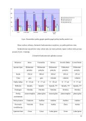 UAB „INEZA“ įmonės strategija 12 puslapis