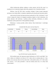UAB „INEZA“ įmonės strategija 13 puslapis