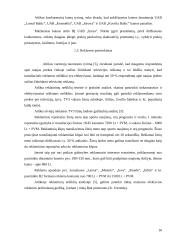 UAB „INEZA“ įmonės strategija 15 puslapis