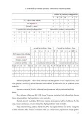 UAB „INEZA“ įmonės strategija 16 puslapis