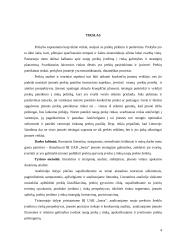 UAB „INEZA“ įmonės strategija 3 puslapis