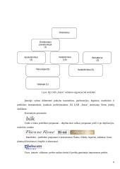 UAB „INEZA“ įmonės strategija 5 puslapis