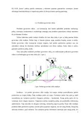 UAB „INEZA“ įmonės strategija 6 puslapis
