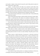 UAB „INEZA“ įmonės strategija 7 puslapis