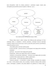 UAB „INEZA“ įmonės strategija 9 puslapis