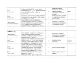 2 dailės ir technologijų ilgalaikis planas 2 puslapis