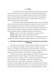 Naujoji viešoji vadyba (NVV) 2 puslapis