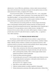 Naujoji viešoji vadyba (NVV) 3 puslapis