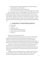 Naujoji viešoji vadyba (NVV) 4 puslapis