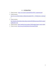 Naujoji viešoji vadyba (NVV) 6 puslapis