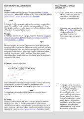 Istorijos pamokų "Pažinimo ir asmeninės kompetencijos ugdymas" planas 2 puslapis