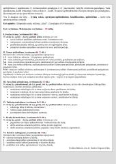 Istorijos pamokų "Pažinimo ir asmeninės kompetencijos ugdymas" planas 11 puslapis