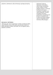 Istorijos pamokų "Pažinimo ir asmeninės kompetencijos ugdymas" planas 3 puslapis