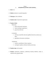 Ugdomoji pamokos analizė - pilietinės visuomenės pagrindai 2 puslapis