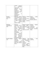 Ugdomoji pamokos analizė - pilietinės visuomenės pagrindai 4 puslapis