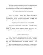 Ugdomoji pamokos analizė - pilietinės visuomenės pagrindai 6 puslapis