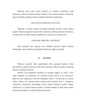 Ugdomoji pamokos analizė - pilietinės visuomenės pagrindai 7 puslapis